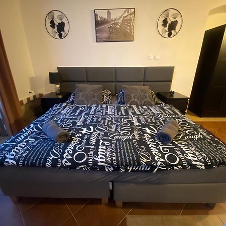 Vila Lucia - Apartman 1 Plzen Bagian luar foto