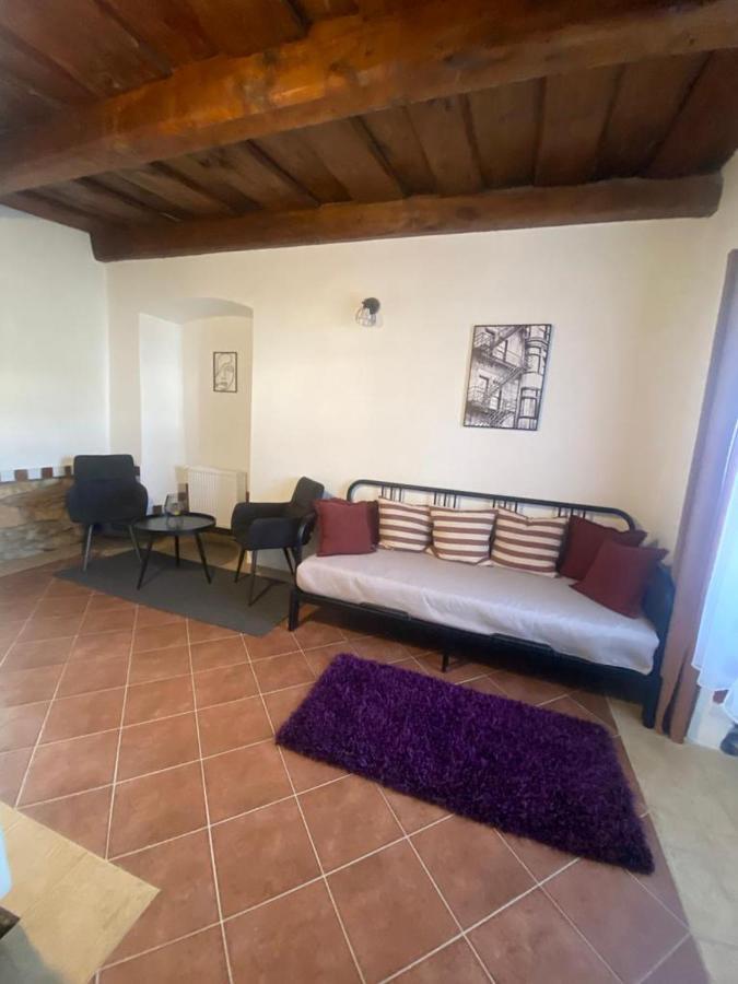 Vila Lucia - Apartman 1 Plzen Bagian luar foto